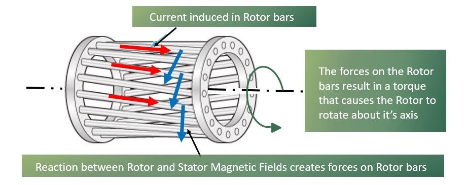 Figure Two: A ‘Squirrel Cage’ rotor