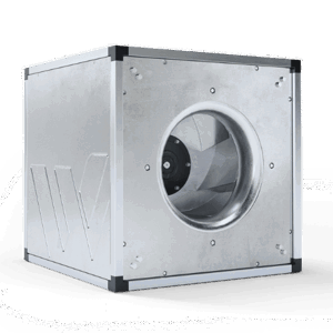 BOX FANS