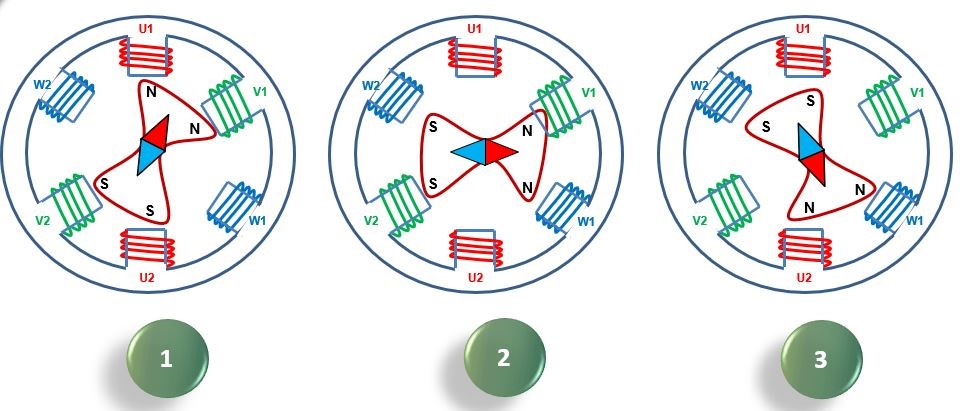 A diagram showing the magnet polarity within a 3-phase motor
